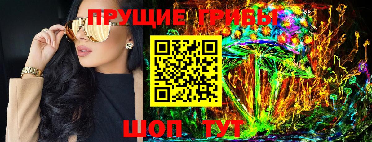 Псилоцибиновые грибы Psilocybe Сертолово